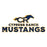 Close-up view of Cypress Ranch High School Mustangs Unisex 3/4 sleeve Raglan T-shirt 222