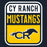 Close-up view of Cypress Ranch High School Mustangs Women's Navy T-shirt 001