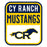 Close-up view of Cypress Ranch High School Mustangs Unisex 3/4 sleeve Raglan T-shirt 001