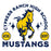 Close-up view of Cypress Ranch High School Mustangs Unisex 3/4 sleeve Raglan T-shirt 208