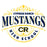 Close-up view of Cypress Ranch High School Mustangs Unisex 3/4 sleeve Raglan T-shirt 211