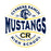 Close-up view of Cypress Ranch High School Mustangs Unisex 3/4 sleeve Raglan T-shirt 218