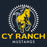 Close-up view of Cypress Ranch High School Mustangs Women's Navy T-shirt 226
