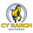 Close-up view of Cypress Ranch High School Mustangs Unisex 3/4 sleeve Raglan T-shirt 226