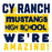 Close-up view of Cypress Ranch High School Mustangs Unisex 3/4 sleeve Raglan T-shirt 231