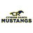 Close-up view of Cypress Ranch High School Mustangs Unisex 3/4 sleeve Raglan T-shirt 233