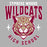 Close-up view of Cypress Woods High School Wildcats Heather Grey Classic Unisex T-shirt 213