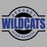 Dekaney Wildcats Premium Grey Hoodie - Design 11