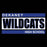 Dekaney Wildcats Premium Black Hoodie - Design 98