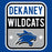 Close-up view of Dekaney High School Wildcats Royal Classic Unisex T-shirt 001