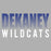 Close-up view of Dekaney High School Wildcats Heather Grey Classic Unisex T-shirt 024