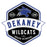 Close-up view of Dekaney High School Wildcats Unisex 3/4 sleeve Raglan T-shirt 209
