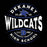 Close-up view of Dekaney High School Wildcats Unisex 3/4 sleeve Raglan T-shirt 218