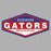 Dickinson High School Gators Sports Grey Classic T-shirt 09