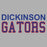 Dickinson High School Gators Women's Sports Grey T-shirt 10