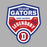 Dickinson High School Gators Sports Grey Classic T-shirt 14