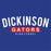 Dickinson High School Gators Royal Blue Classic Hoodie 21