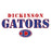 Close-up view of Dickinson High School Gators Unisex 3/4 sleeve Raglan T-shirt 222