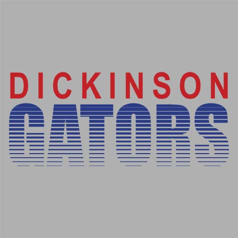 Dickinson High School Gators Women's Sports Grey T-shirt 24