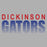 Dickinson High School Gators Women's Sports Grey T-shirt 24