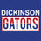 Dickinson High School Gators Royal Blue Classic Hoodie 31