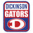 Close-up view of Dickinson High School Gators Unisex 3/4 sleeve Raglan T-shirt 001