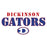 Close-up view of Dickinson High School Gators Unisex 3/4 sleeve Raglan T-shirt 017