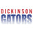 Close-up view of Dickinson High School Gators Unisex 3/4 sleeve Raglan T-shirt 024