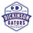 Close-up view of Dickinson High School Gators Unisex 3/4 sleeve Raglan T-shirt 209