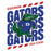 Close-up view of Dickinson High School Gators Unisex 3/4 sleeve Raglan T-shirt 223
