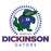 Close-up view of Dickinson High School Gators Unisex 3/4 sleeve Raglan T-shirt 226