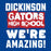 Close-up view of Dickinson High School Gators Women's Royal Blue SoftStyle T-shirt 231
