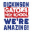 Close-up view of Dickinson High School Gators Unisex 3/4 sleeve Raglan T-shirt 231