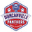 Close-up view of Duncanville High School Panthers Unisex 3/4 sleeve Raglan T-shirt 209