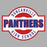 Close-up view of Duncanville High School Panthers Unisex 3/4 sleeve Raglan T-shirt 011