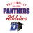 Close-up view of Duncanville High School Panthers Unisex 3/4 sleeve Raglan T-shirt 034