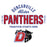 Close-up view of Duncanville High School Panthers Unisex 3/4 sleeve Raglan T-shirt 040
