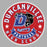 Close-up view of Duncanville High School Panthers Unisex 3/4 sleeve Raglan T-shirt 215