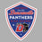 Close-up view of Duncanville High School Panthers Unisex 3/4 sleeve Raglan T-shirt 225