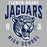 Close-up view of Flower Mound High School Jaguars Sport Grey Classic Unisex Hoodie 213