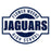 Close-up view of Flower Mound High School Jaguars Unisex 3/4 sleeve Raglan T-shirt 011