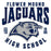 Close-up view of Flower Mound High School Jaguars Unisex 3/4 sleeve Raglan T-shirt 213