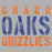 Close-up of Grand Oaks High School Grizzlies Sport Grey Classic Unisex Hoodie 17