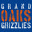 Close-up of Grand Oaks High School Grizzlies Premium Royal Unisex T-shirt 17