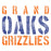 Close-up of Grand Oaks High School Grizzlies Unisex 3/4 sleeve Raglan T-shirt 17