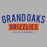 Close-up of Grand Oaks High School Grizzlies Sport Grey Classic Unisex Hoodie 21