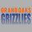 Close-up of Grand Oaks High School Grizzlies Sport Grey Classic Unisex Hoodie 24