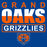 Close-up of Grand Oaks High School Grizzlies Women's Royal T-shirt 29