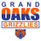 Close-up of Grand Oaks High School Grizzlies Unisex 3/4 sleeve Raglan T-shirt 29