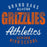 Close-up of Grand Oaks High School Grizzlies Premium Royal Unisex T-shirt 34